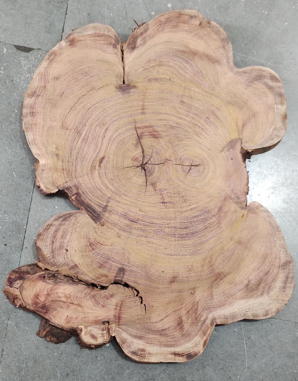 Centre wood Cookie_05