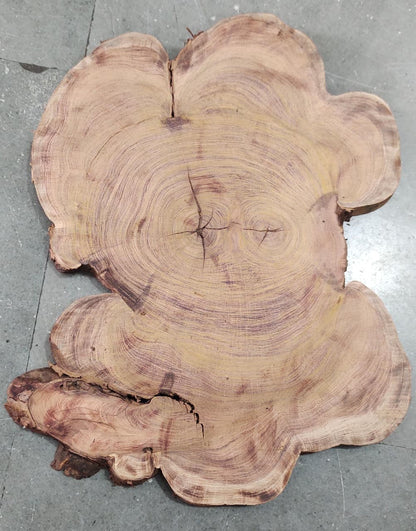 Centre wood Cookie_05