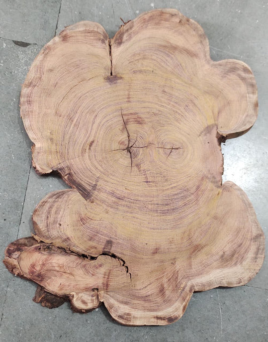 Centre wood Cookie_05