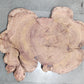 Centre wood Cookie_05
