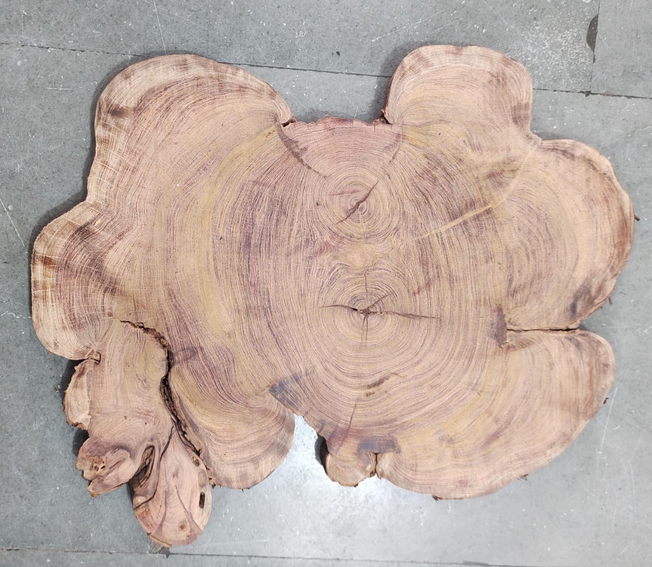 Centre wood Cookie_05