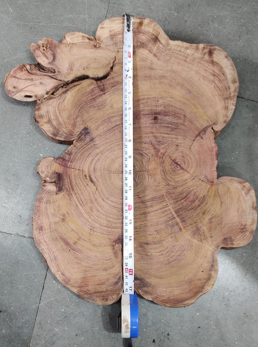 Centre wood Cookie_05