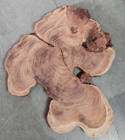 Centre wood Cookie_07