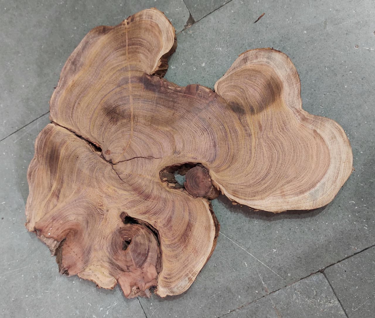 Centre wood Cookie_07