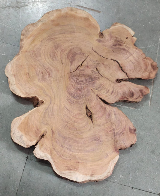 Centre wood Cookie_08