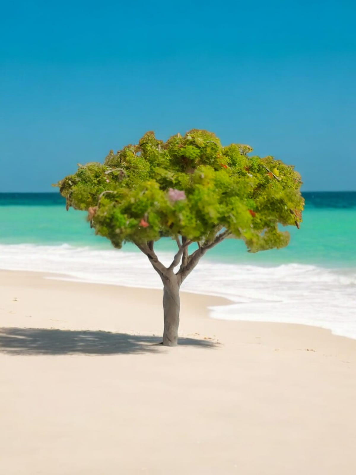 Big Tree_01