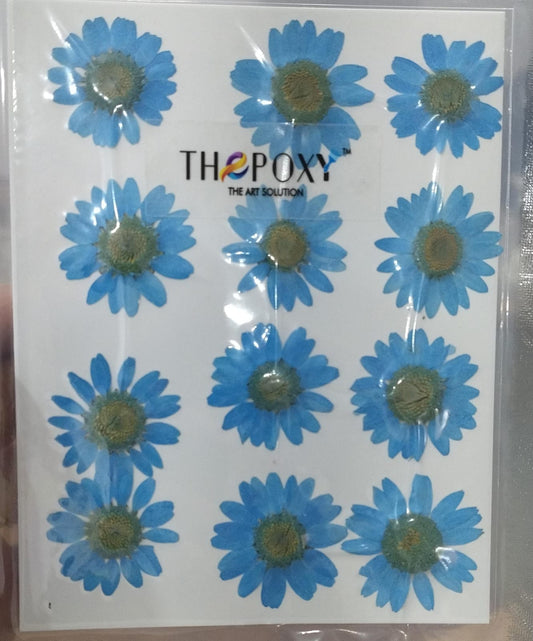 Pressed Flower _25