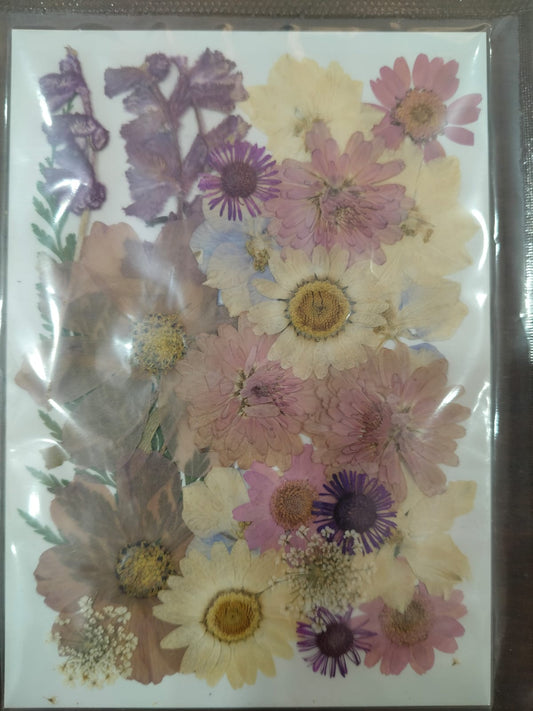 Pressed Flower _29