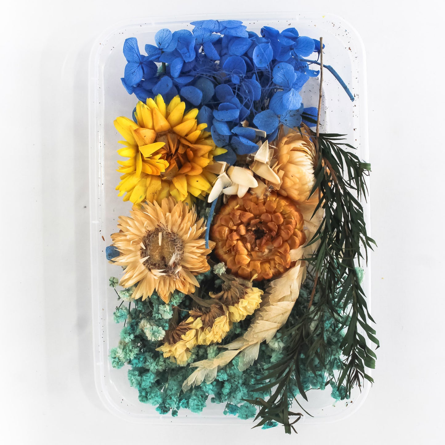 Dry Flower Box_24