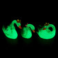 Glowing Swan (King-Queen)