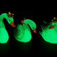 Glowing Swan (King-Queen)