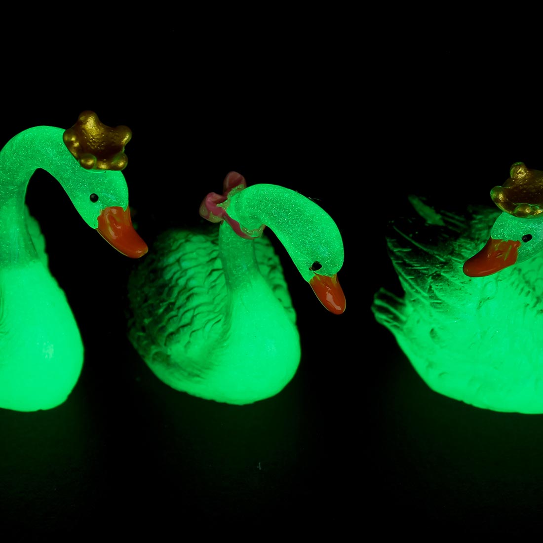 Glowing Swan (King-Queen)