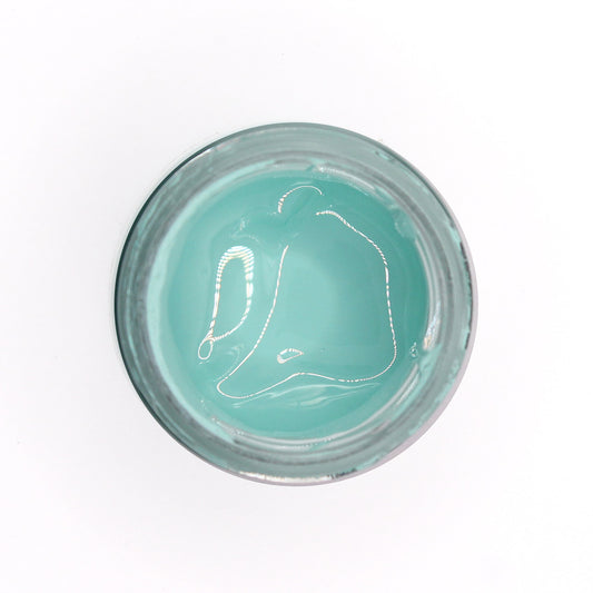 Light Aqua Opaque Pigment