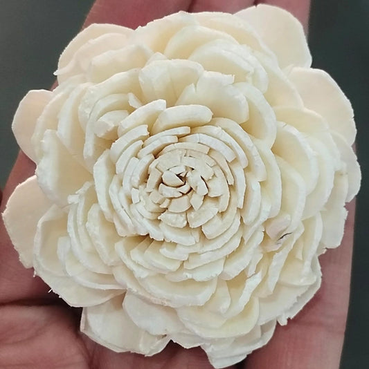 Bailey Solawood- Medium