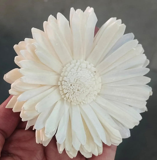 Sun flower Solawood- Large