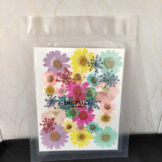 Pressed Flower _39