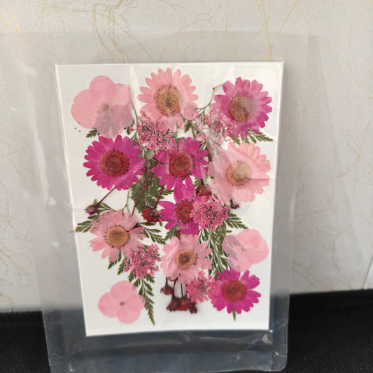 Pressed Flower _52