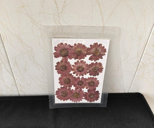 Pressed Flower _45