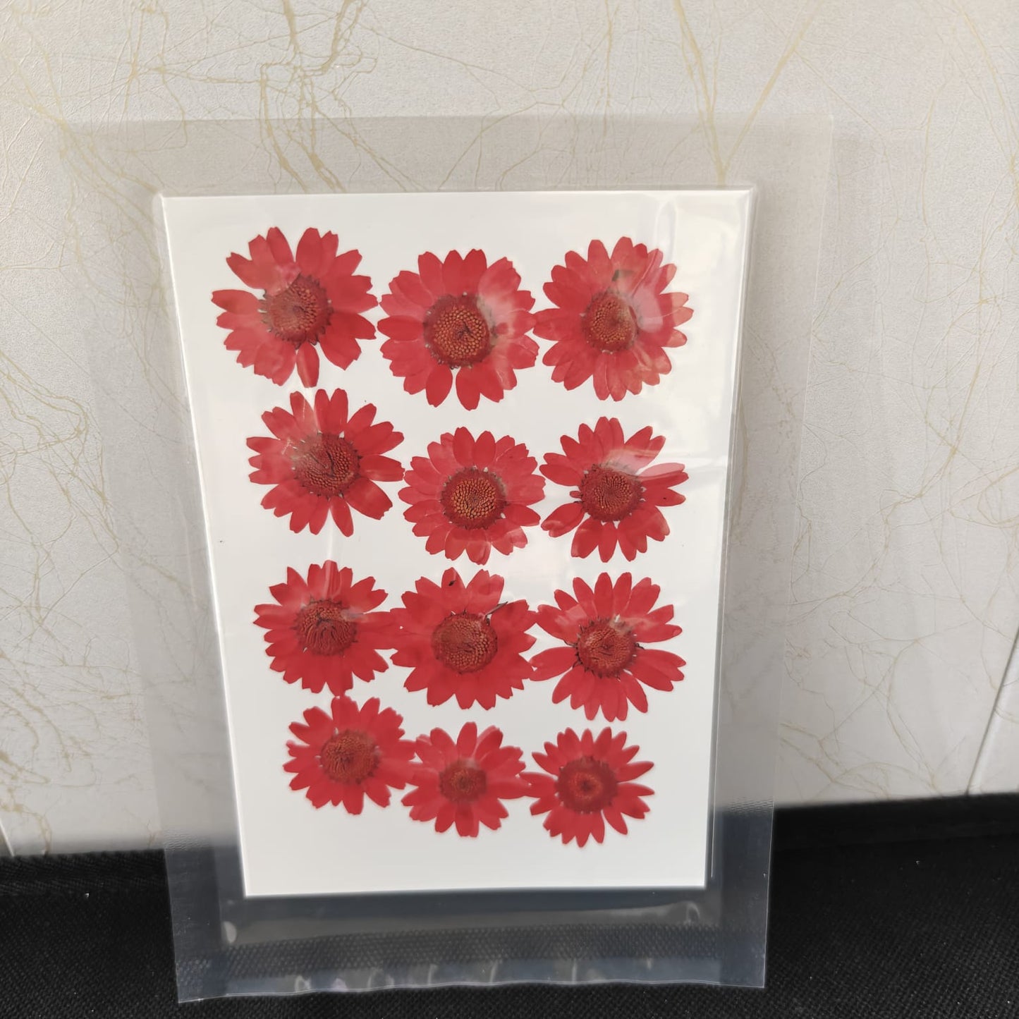 Pressed Flower _15