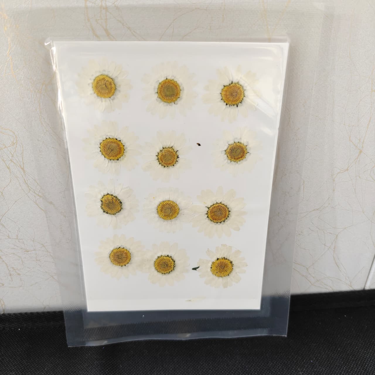 Pressed Flower _48