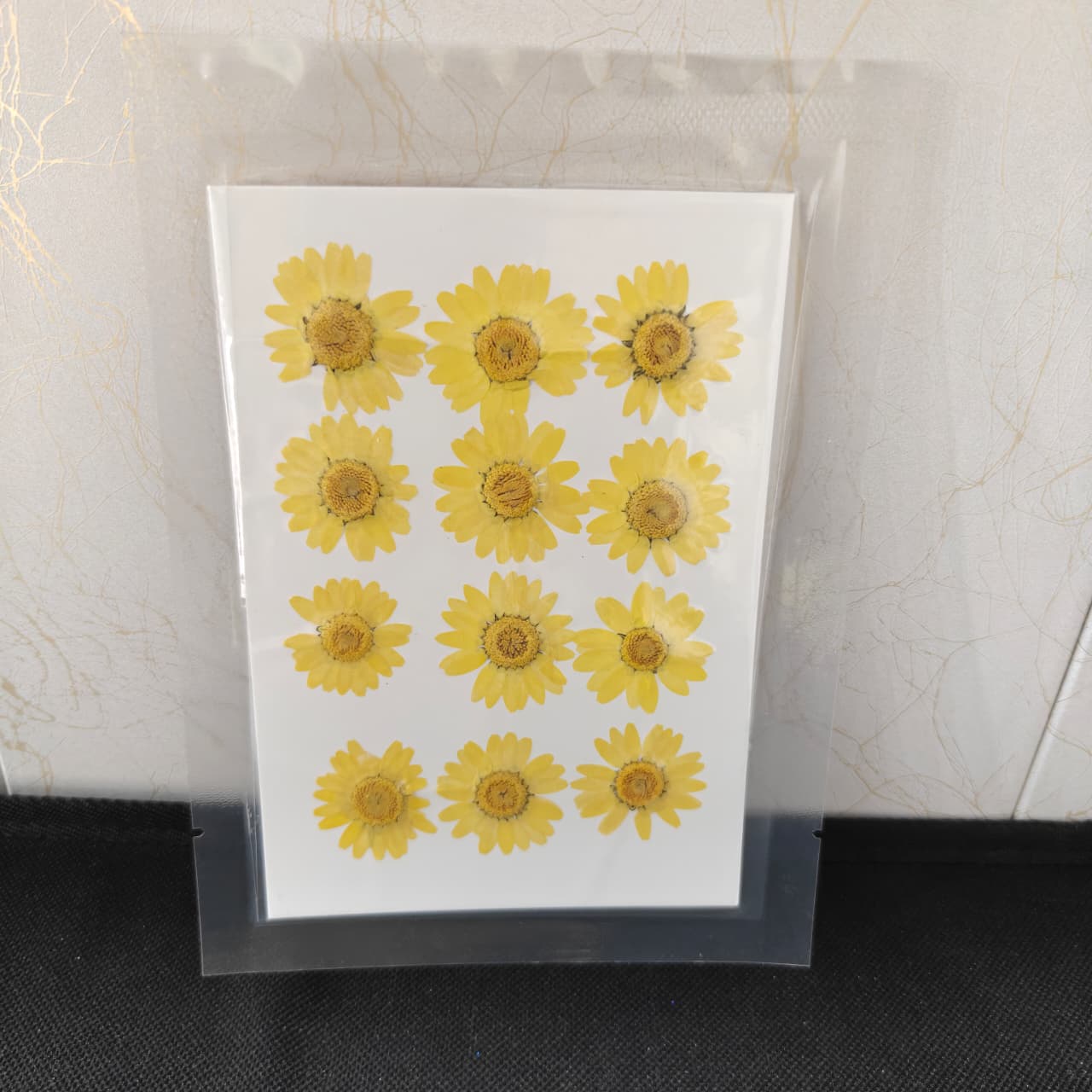 Pressed Flower _17 (Light Yellow)