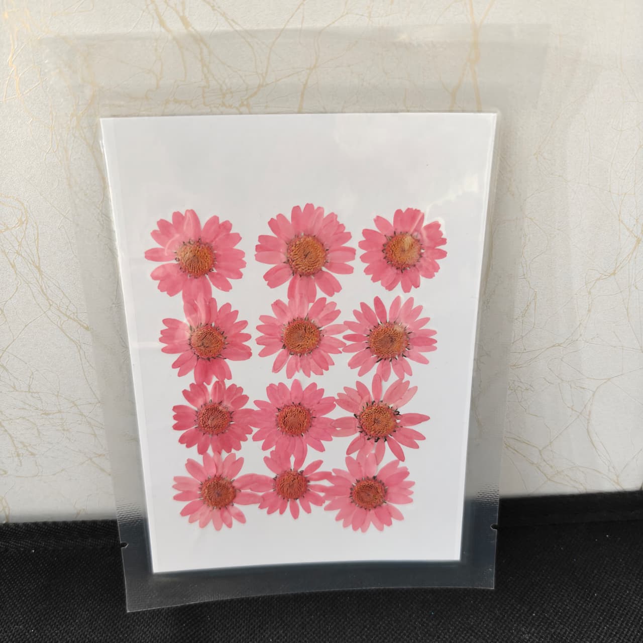 Pressed Flower _27