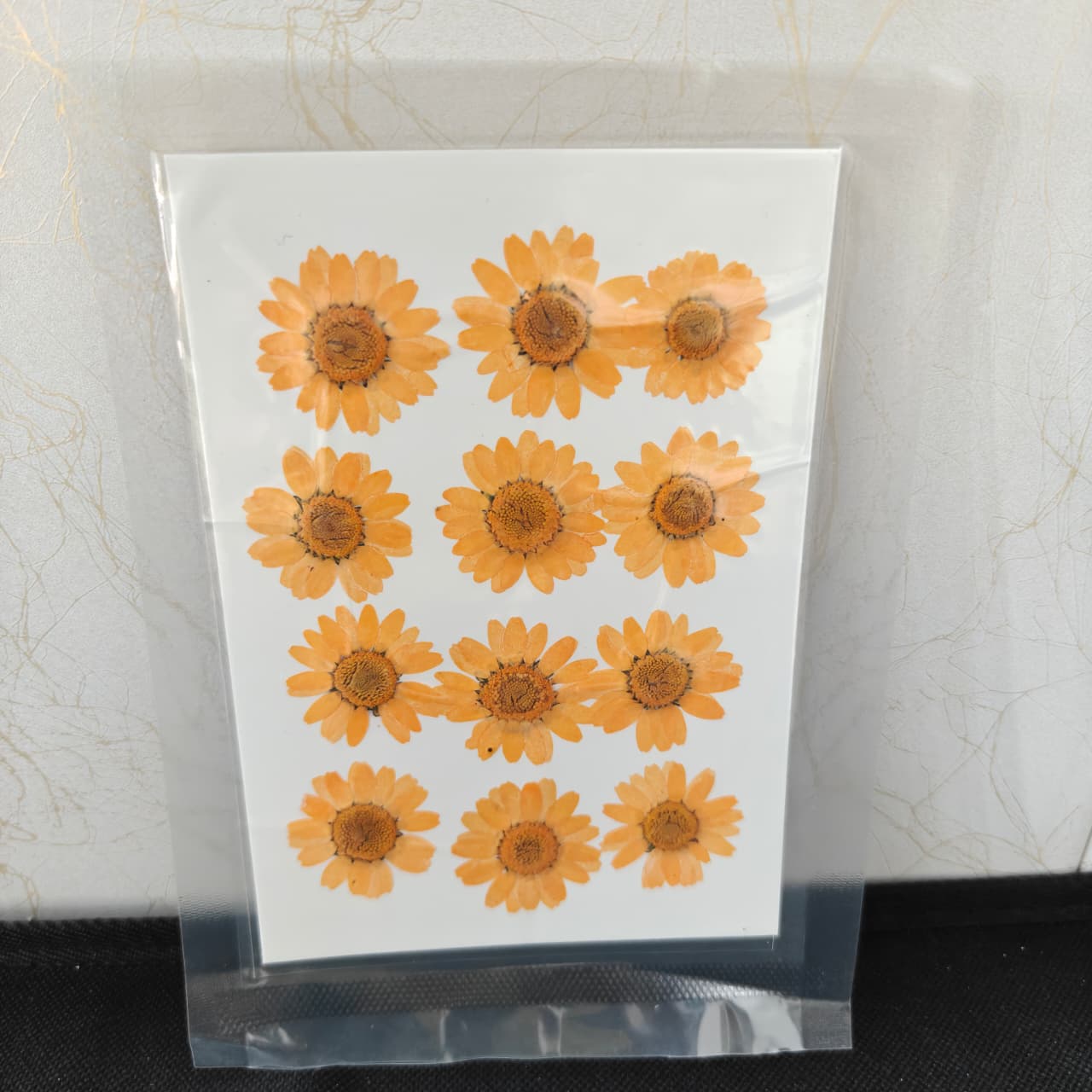 Pressed Flower _31