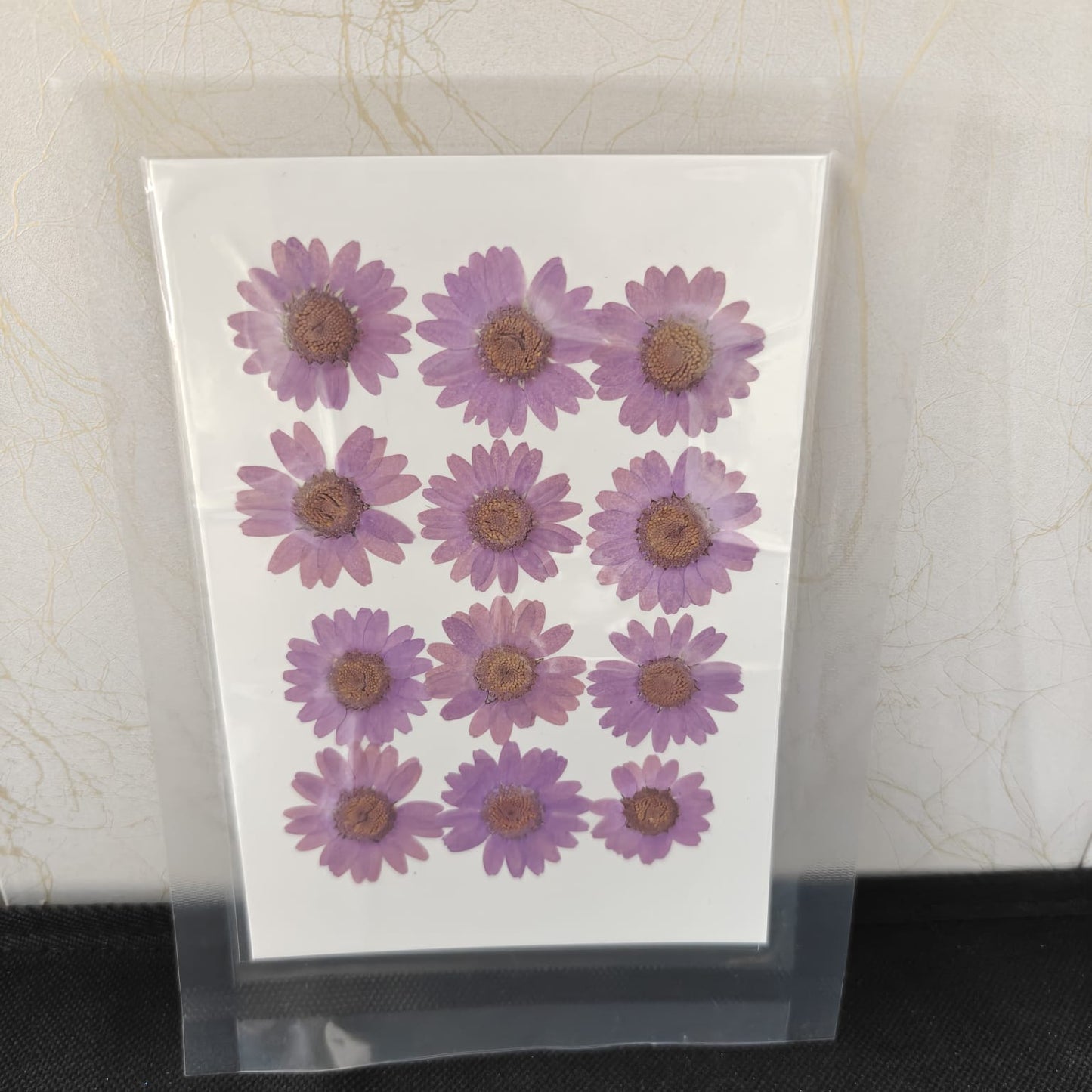 Pressed Flower _30