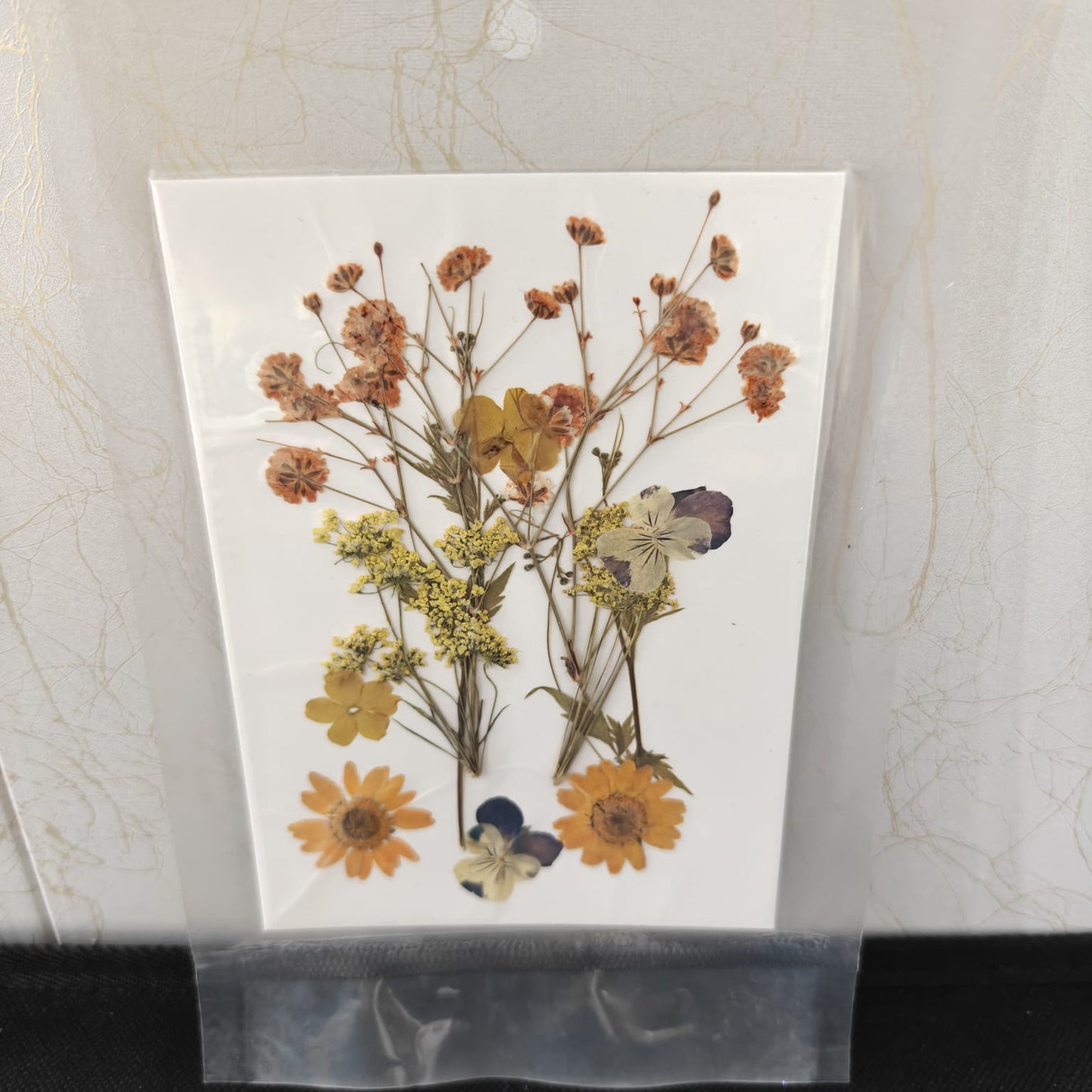 Pressed Flower _42