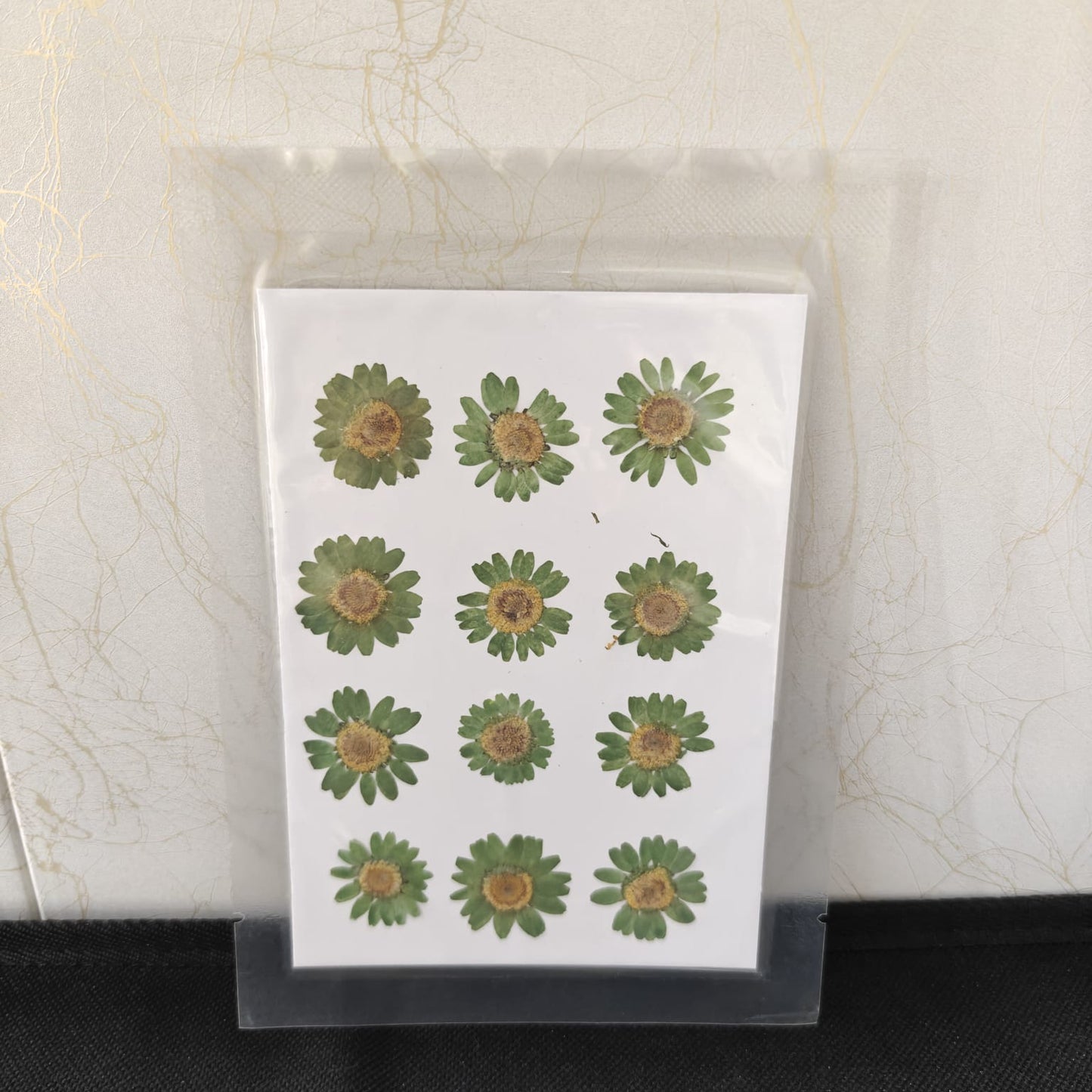 Pressed Flower _06