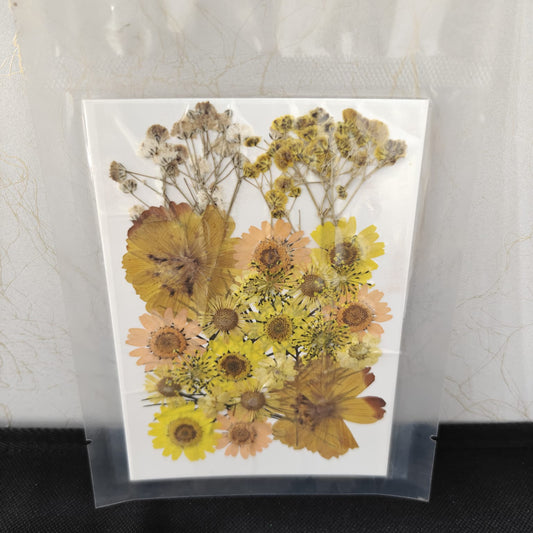 Pressed Flower _01