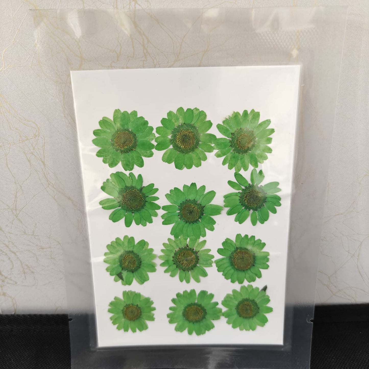 Pressed Flower _14