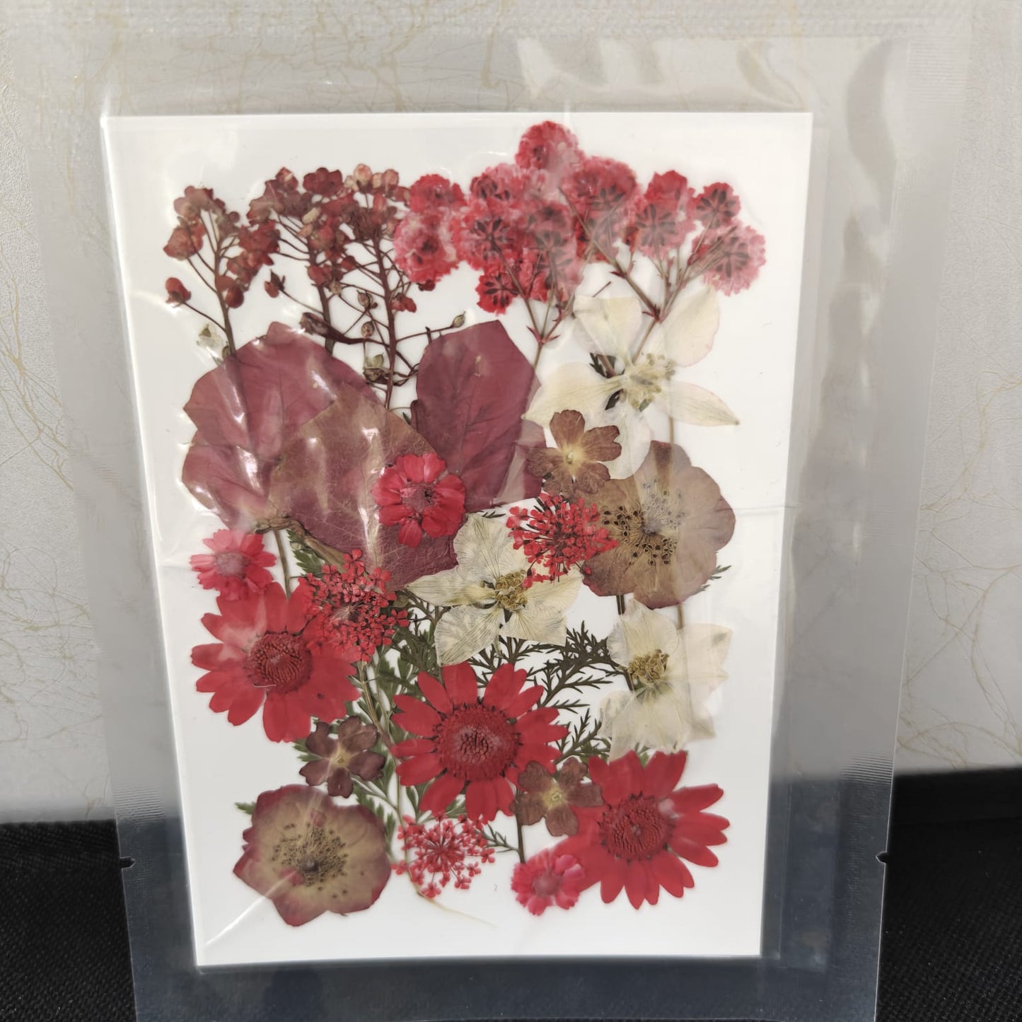 Pressed Flower _50