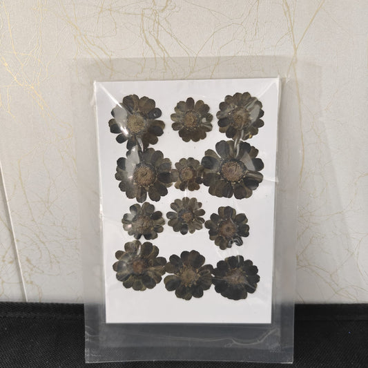 Pressed Flower _35