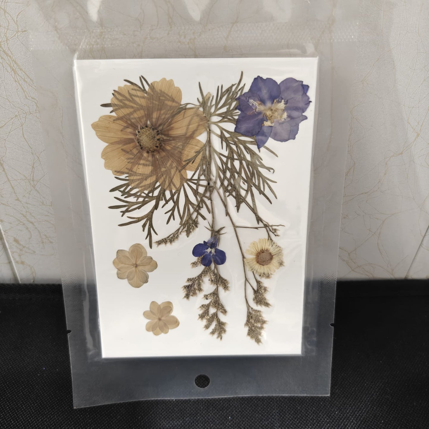 Pressed Flower _37