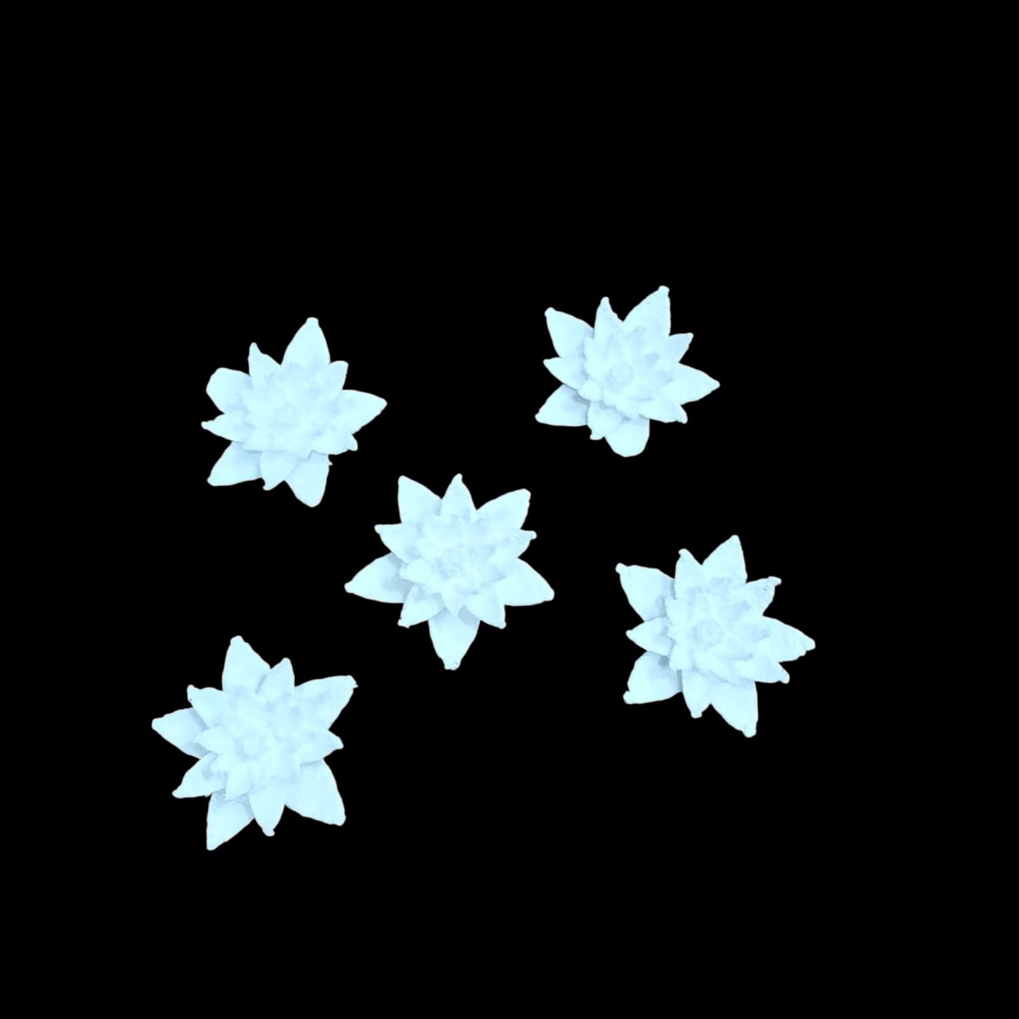 White Lotus 25 MM