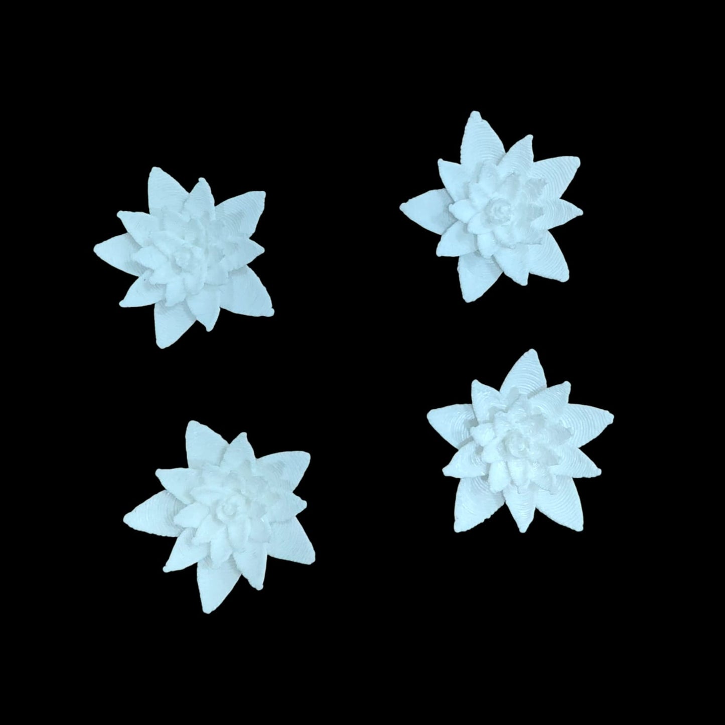 White Lotus 30 MM
