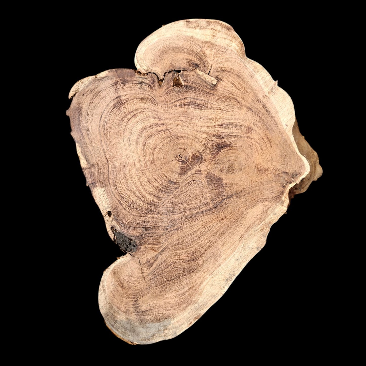 Centre wood Cookie_05
