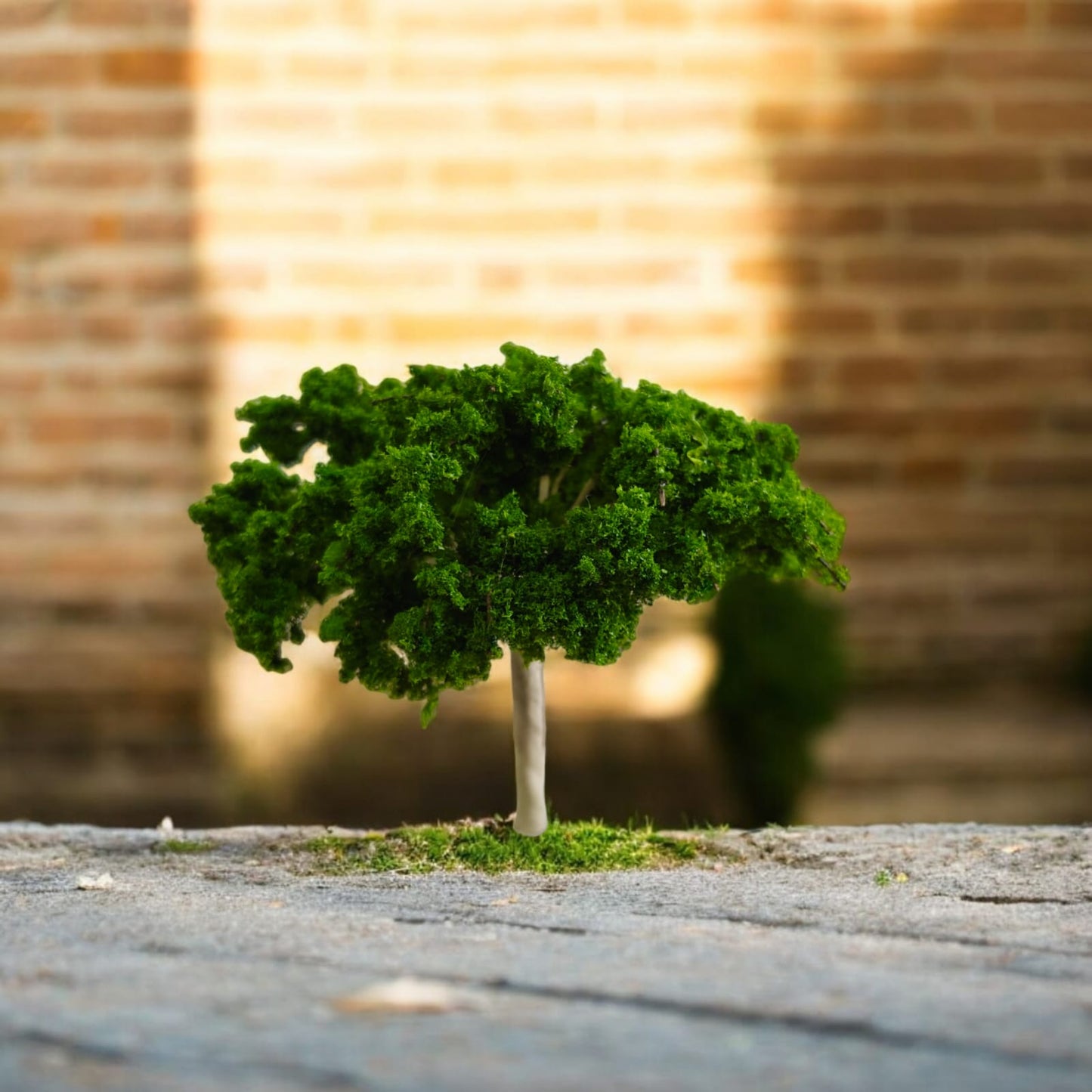 Big Tree_02