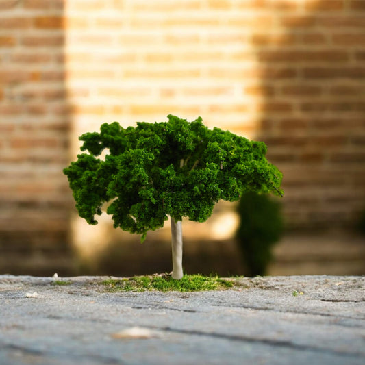 Big Tree_02