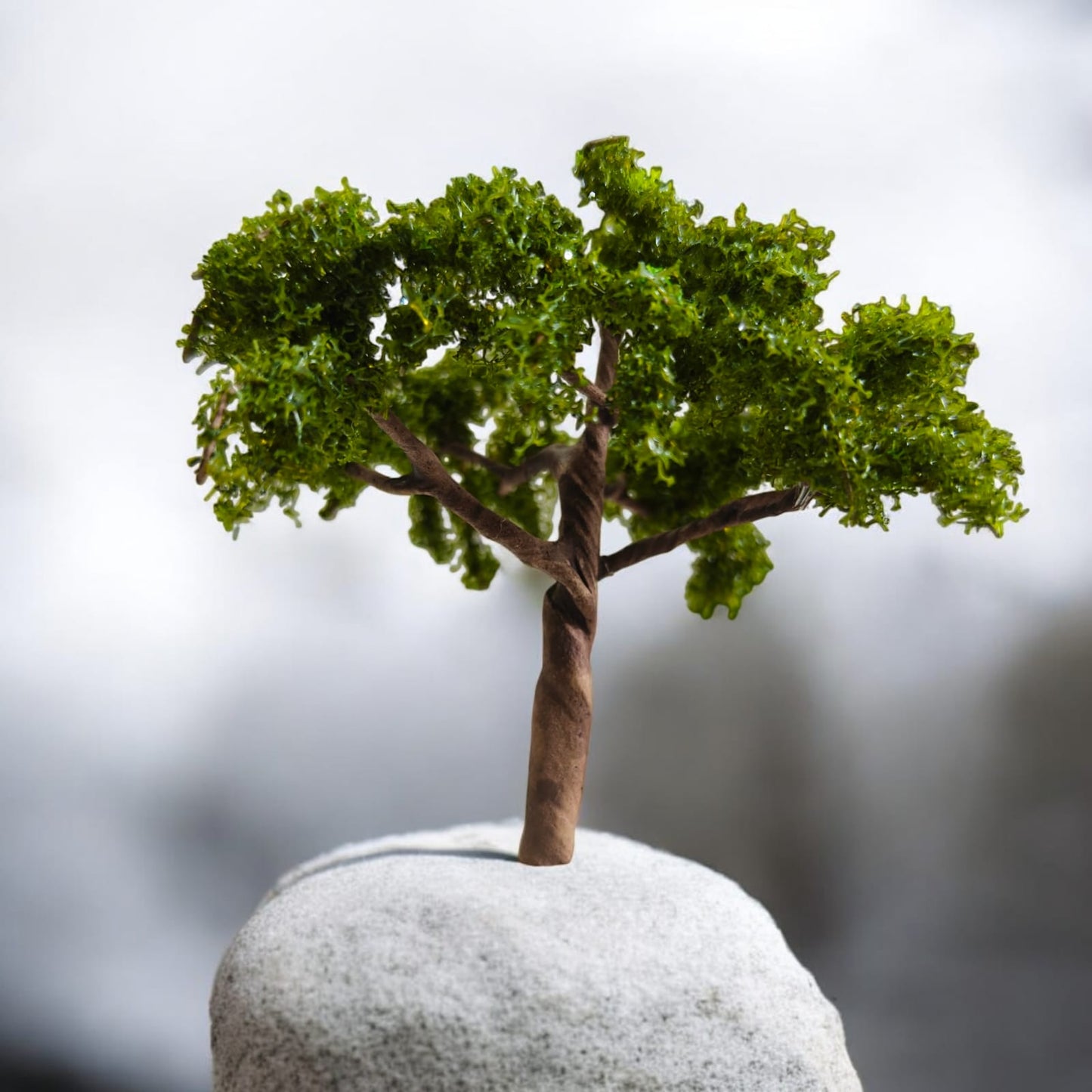 Big Tree_04