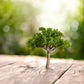 Kekar Tree