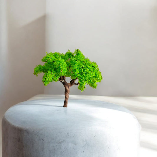 Big Tree_06
