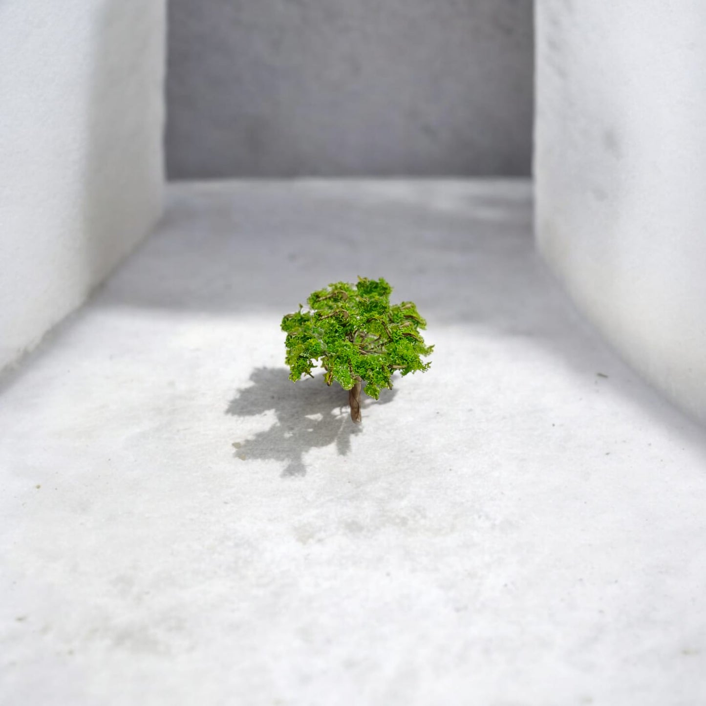 Round Wire tree
