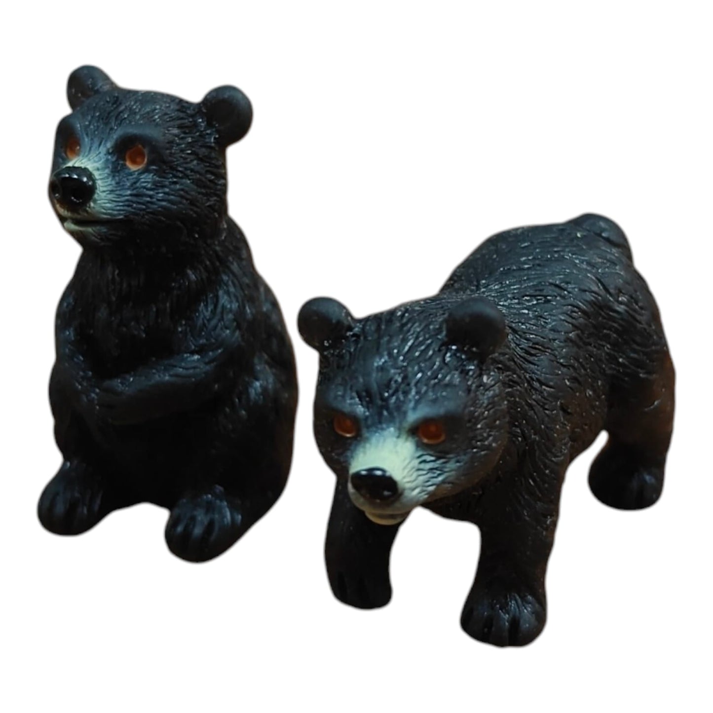 Black Bear