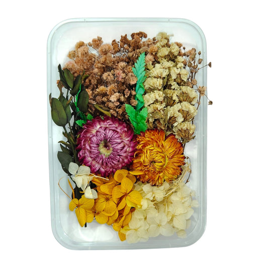 Dry Flower Box_11