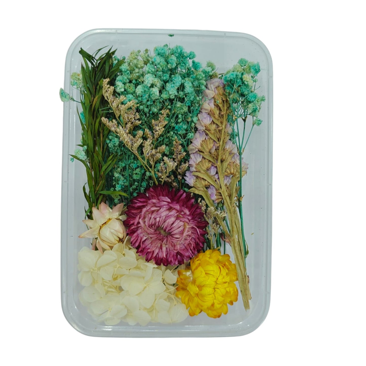Dry Flower Box_26