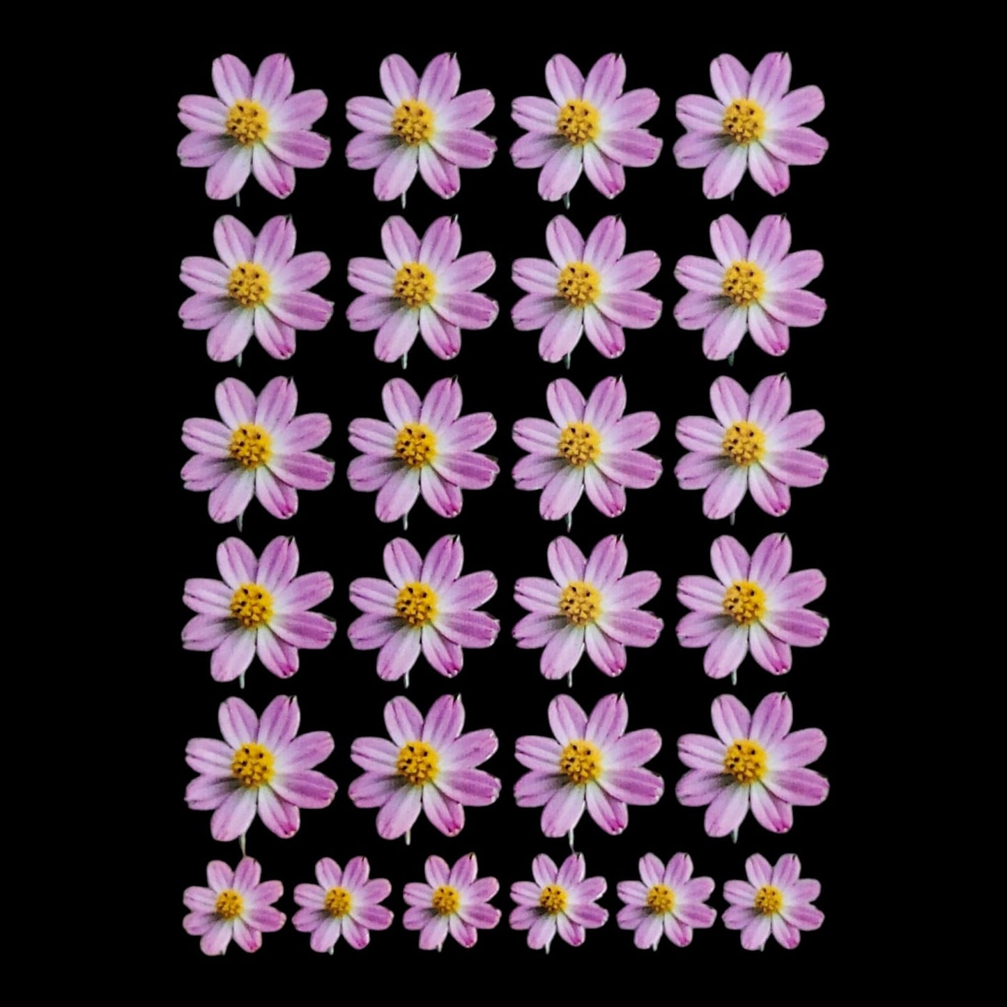 Uv Sheet-25