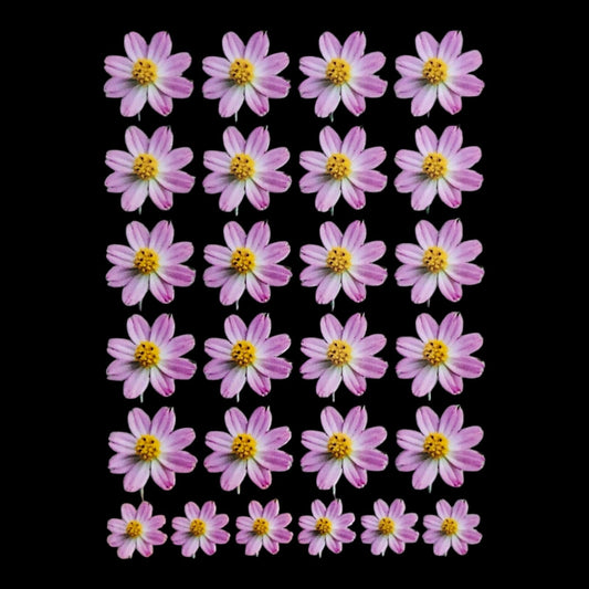 Uv Sheet-25