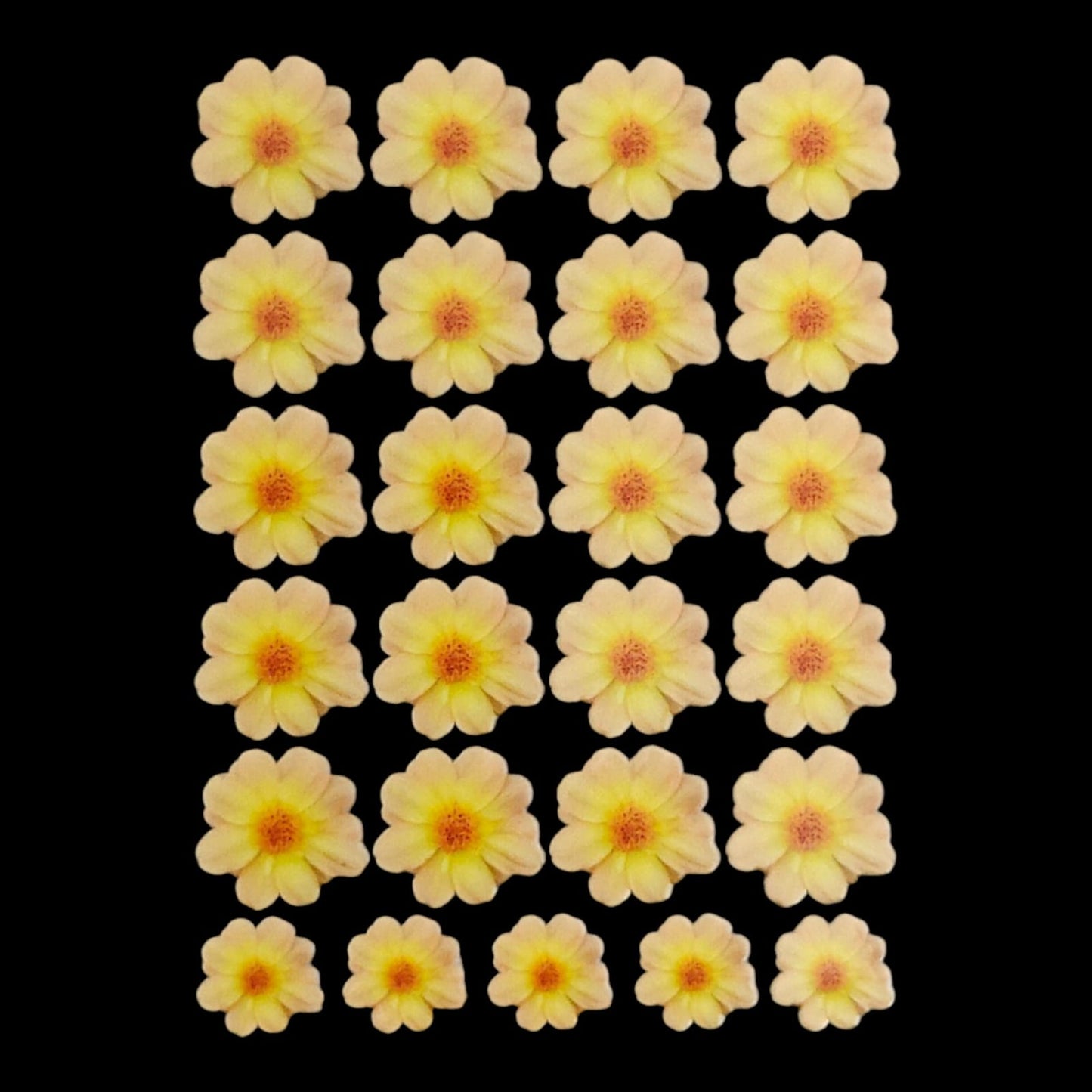 Uv Sheet-31